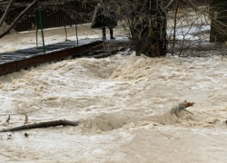 Под Новороссийском обнаружен труп мужчины