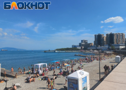 Чёрное море у берегов Новороссийска, Геленджика и Сочи резко остыло: всё, как в прошлом году