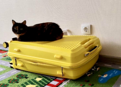 Гороскоп от «Блокнота»: как сложится сегодняшний день 