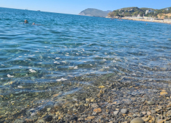 Фекалии и пена в Черном море распугали отдыхающих в Новороссийске