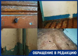 "Мы должны жить как свиньи": жительница Новороссийска возмущена работой УК "ЖКС"