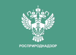 Росприроднадзор зафиксировал сброс сточных вод в Чёрное море в Новороссийске