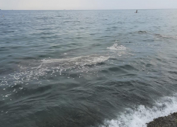 "Купайтесь на здоровье в нефтепродуктах!" - на пляже под Новороссийском заметили непонятную плёнку