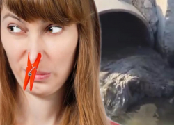 Жителей новостроек Новороссийска заставляют дышать фекалиями 