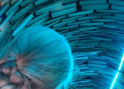 Тельцам стоит запастись терпением, а Львам быть осторожнее: что сегодня сулят звезды