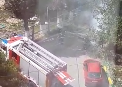 - Задача пожарных – защищать нас от дебилов, которые палят мусор, - житель Новороссийска