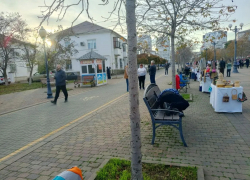 Пьяные новороссийцы устроили сон-час на бульваре Черняховского и перевернули скамейку