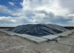 Опять в Новороссийск? Ростовская область возвращает замазученный песок обратно на Кубань 