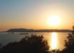 В Новороссийске будет слышна стрельба: горожан просят сохранять спокойствие