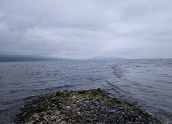 Украинским беспилотникам не дает покоя Черное море