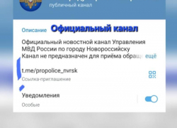 Перебор! У сайта УМВД Новороссийска появился клон с фейковой информацией