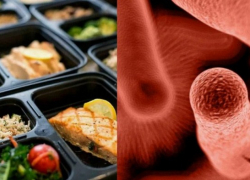 Вспышка ботулизма в стране: что с жителями Кубани и как будут проверять производителей