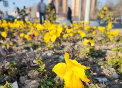 Ракам день подарит гармонию, а Весам пригодятся аналитические возможности