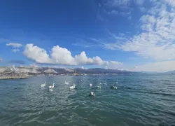 Долгожданное солнышко порадует новороссийцев