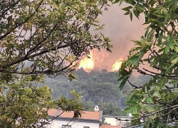 Огонь распространяется очень быстро: в Дюрсо горит лес 