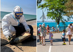 В Анапе откроют курортный сезон и проведут заплыв «За чистое море»