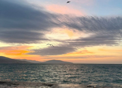 Гороскоп от «Блокнота»: Львам уделить внимание личной жизни, а Тельцам финансам 