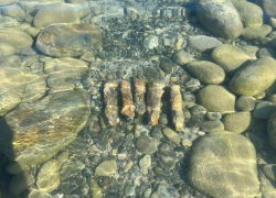 На одном из пляжей Новороссийска нашли 6 ржавых снарядов 