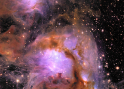 Гороскоп от “Блокнота” на 25 мая: звезды предсказывают Весам успех, а Стрельцам — интересные знакомства