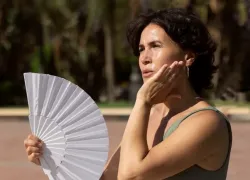 Иранская жара придет в Новороссийск — как изменится климат через несколько десятков лет