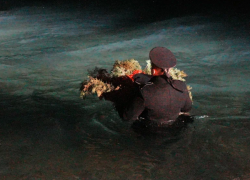 Матросская "Бескозырка" в очередной раз ушла в море в Новороссийске