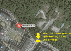 «Мои вкусы специфичны» - как отметят грядущую пятницу эко-активисты Новороссийска