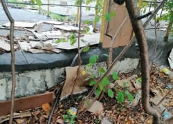 Власти Новороссийска призвали горожан начать «порядок с себя»