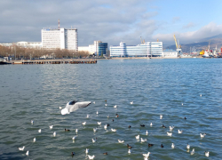 В понедельник в Новороссийске будет громко 