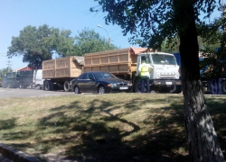 Вырастет к осени пшеница на автодорогах Новороссийска, - уверены горожане