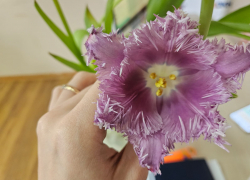 Гороскоп от «Блокнота»: Близнецам помогать другим, а Скорпионам пойти на риск