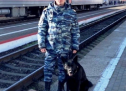 Овчарка Евара помогла транспортной полиции Новороссийска предотвратить преступление