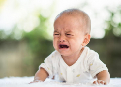 Маленький новороссиец остался без питания, зато работяги отоварились