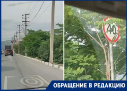 Знак не видно, а он есть: водители Новороссийска нарушают правила из-за разросшейся зелени