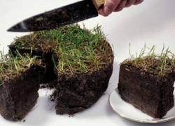 В Новороссийске осудили замдиректора Центра развития и оказания курортных услуг