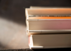 Депутат Госдумы предложил сокращать срок тюремного заключения за чтение книг