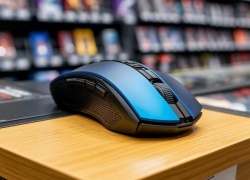 «Мышка бежала, хвостиком махнула»: зумеры из Новороссийска обвиняются в краже