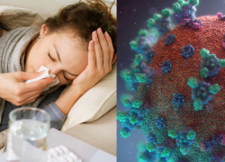 Новороссийцы, осторожно! По воздуху «гуляет» новый штамм коронавируса