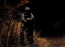 Скотское преступление произошло недалеко от Новороссийска