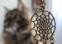 Все дело в деталях: Тельцы, Девы и Козероги сегодня почувствуют себя уверенно