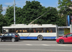 Нам нужны водители: что в Новороссийске с общественным транспортом
