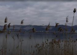 Погода в Новороссийске: "грусть" и духота ждут гостей и жителей 