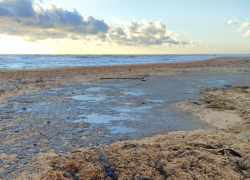 За мазут и вред, нанесенный Черному морю, владельцы танкеров «Волгонефть» ответят в суде