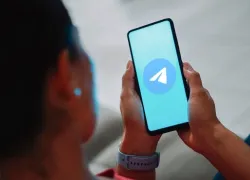 «Это убьет рынок!»: юрист Светлана Кузеванова о запрете рекламы в телеграм