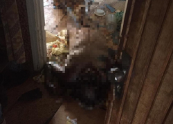 Около двух недель в пустой квартире пролежал труп мужчины в Новороссийске