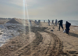 Мазут не покидает пляжи Черного моря: новые выбросы нефти в Анапе 