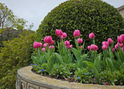 Гороскоп от «Блокнота»: Девы решат давние проблемы, а у Весов возможен приятный вечер