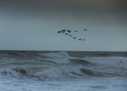 Внимание! На Новороссийск надвигается непогода