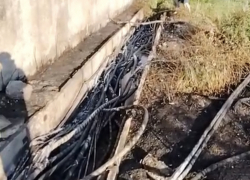 Доколе? Тысячи новороссийцев продолжают сидеть без электричества 