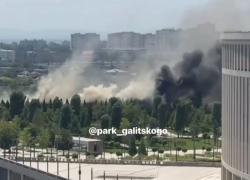 В парке Галицкого в Краснодаре потушили пожар: аномальная жара испытывает юг огнём 