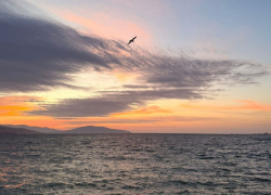 Погода в Новороссийске: тёплый и солнечный день у Чёрного моря